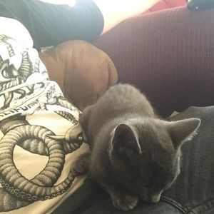 Meet your Posher, Elias